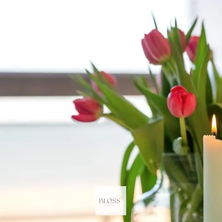 Sea Kissed By Bloss, Op Zeedijk *