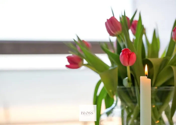 Sea Kissed By Bloss, Op Zeedijk *