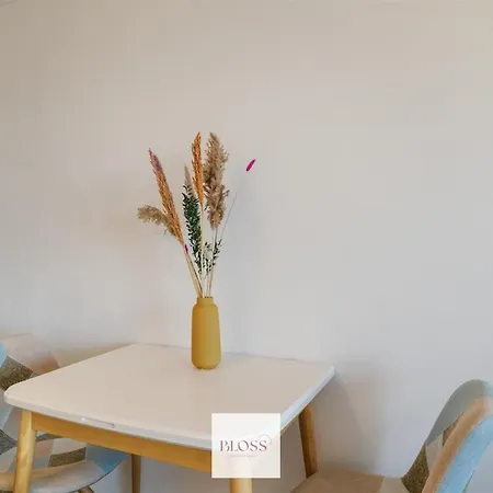 Sea Kissed By Bloss, Op Zeedijk Appartement Ostende